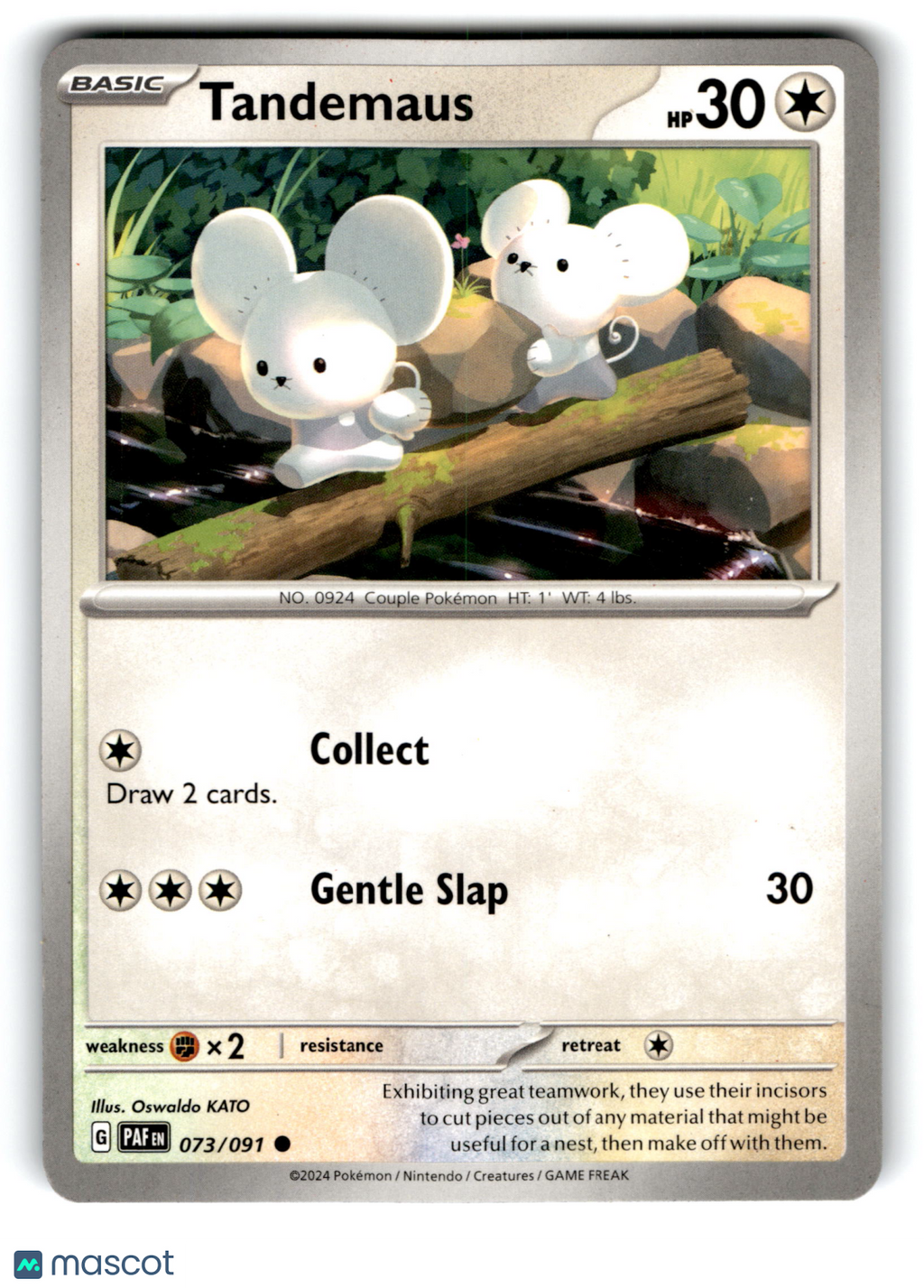 2024 Pokemon Tandemaus #73/91