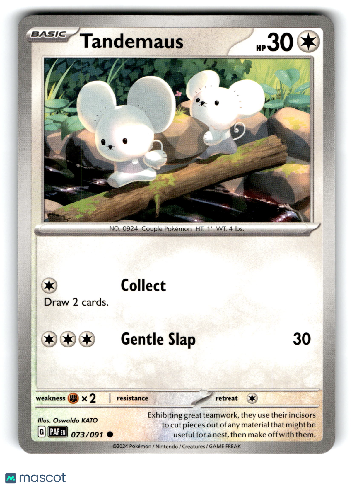 2024 Pokemon Tandemaus #73/91