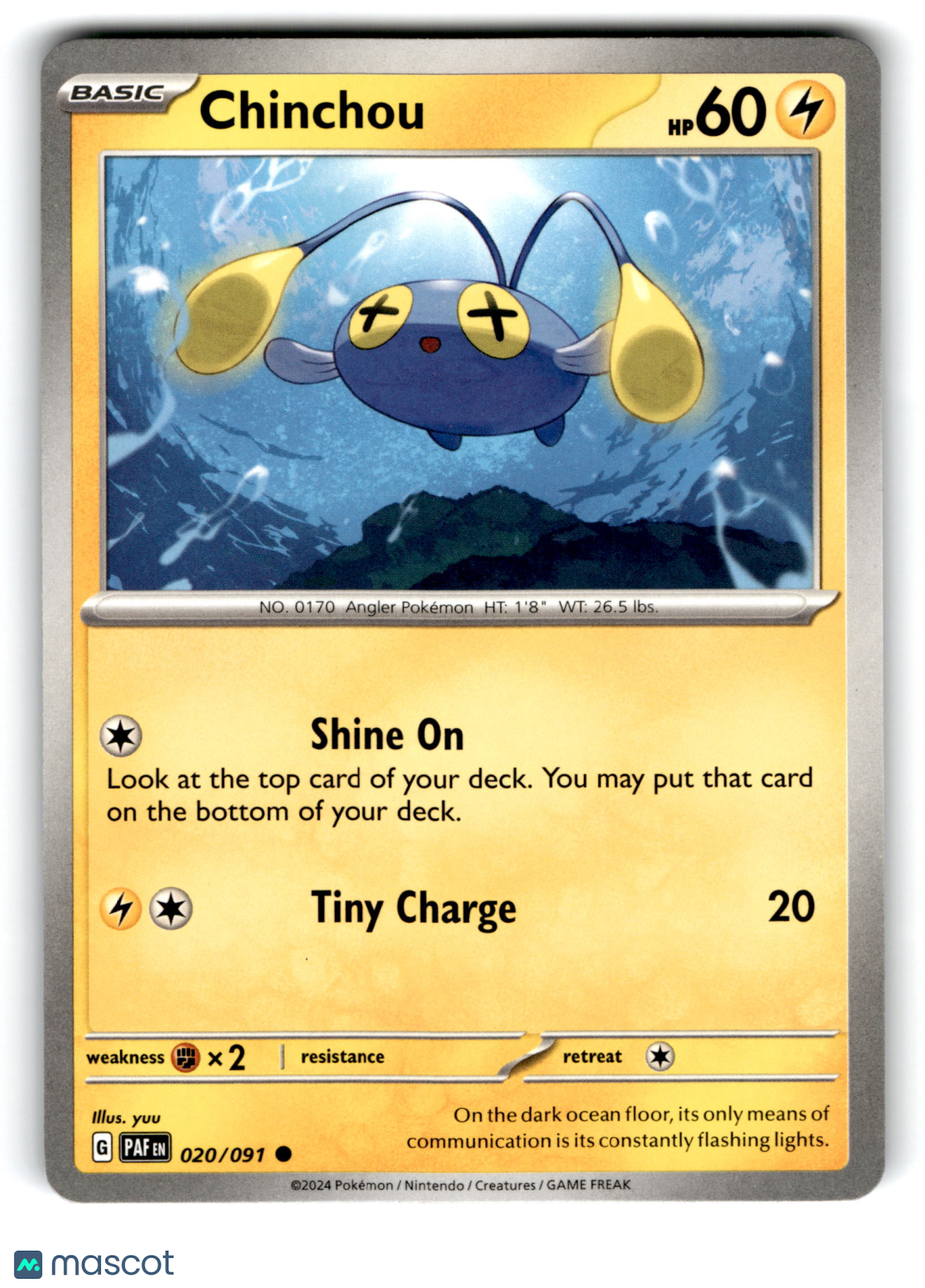 2024 Pokemon Chinchou #20/91