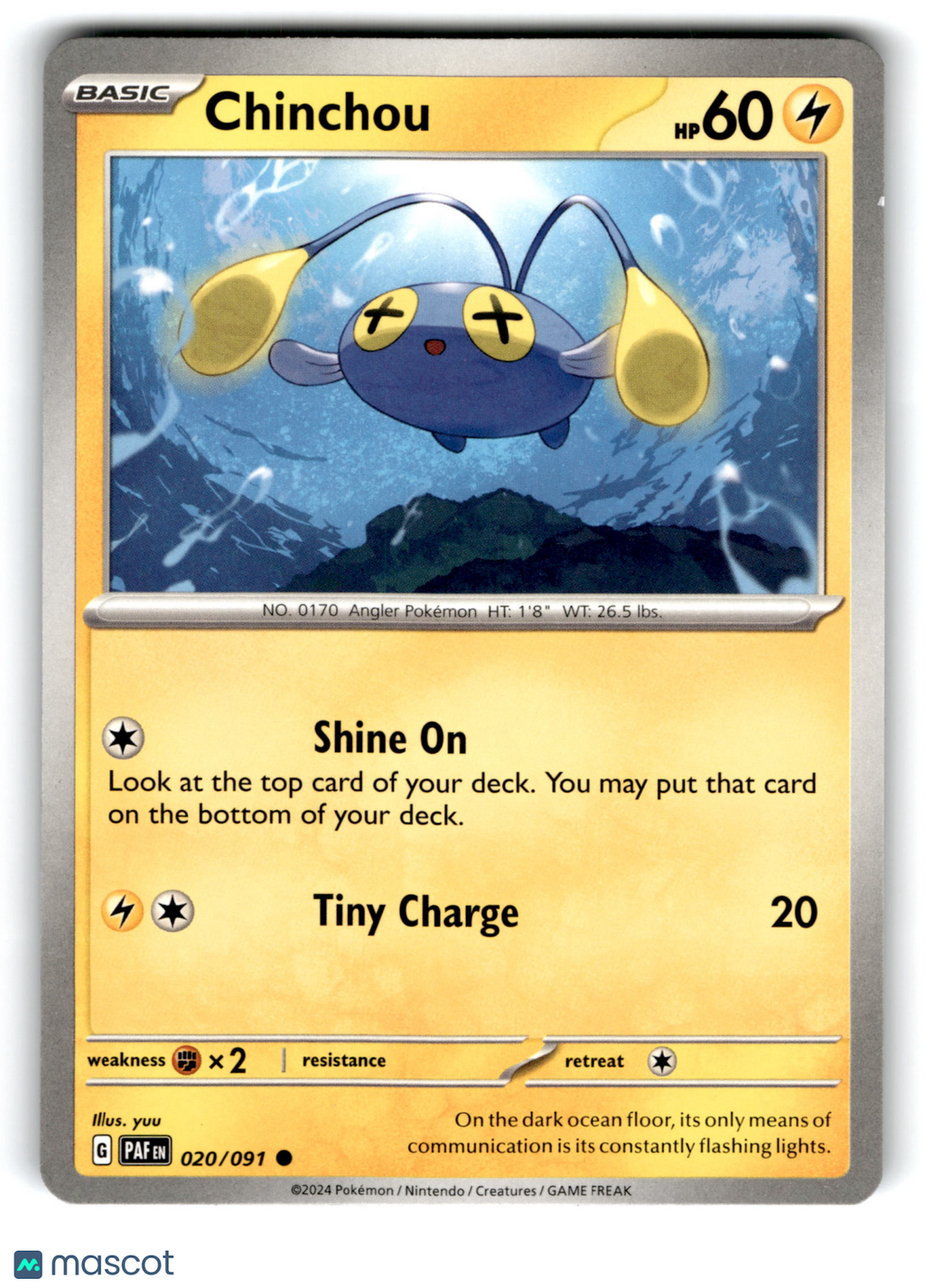 2024 Pokemon Chinchou #20/91