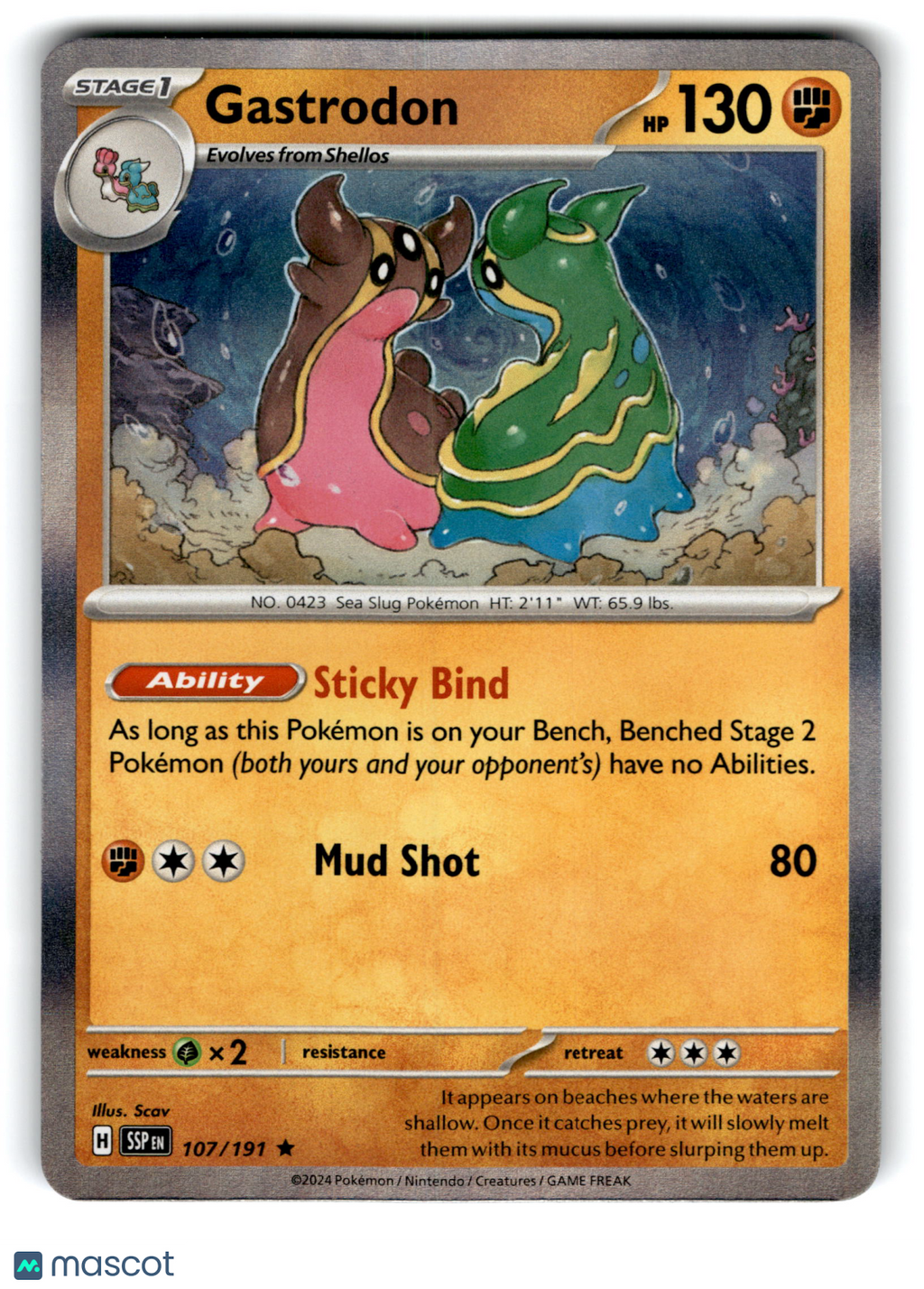 2024 Pokemon Gastrodon #107/191