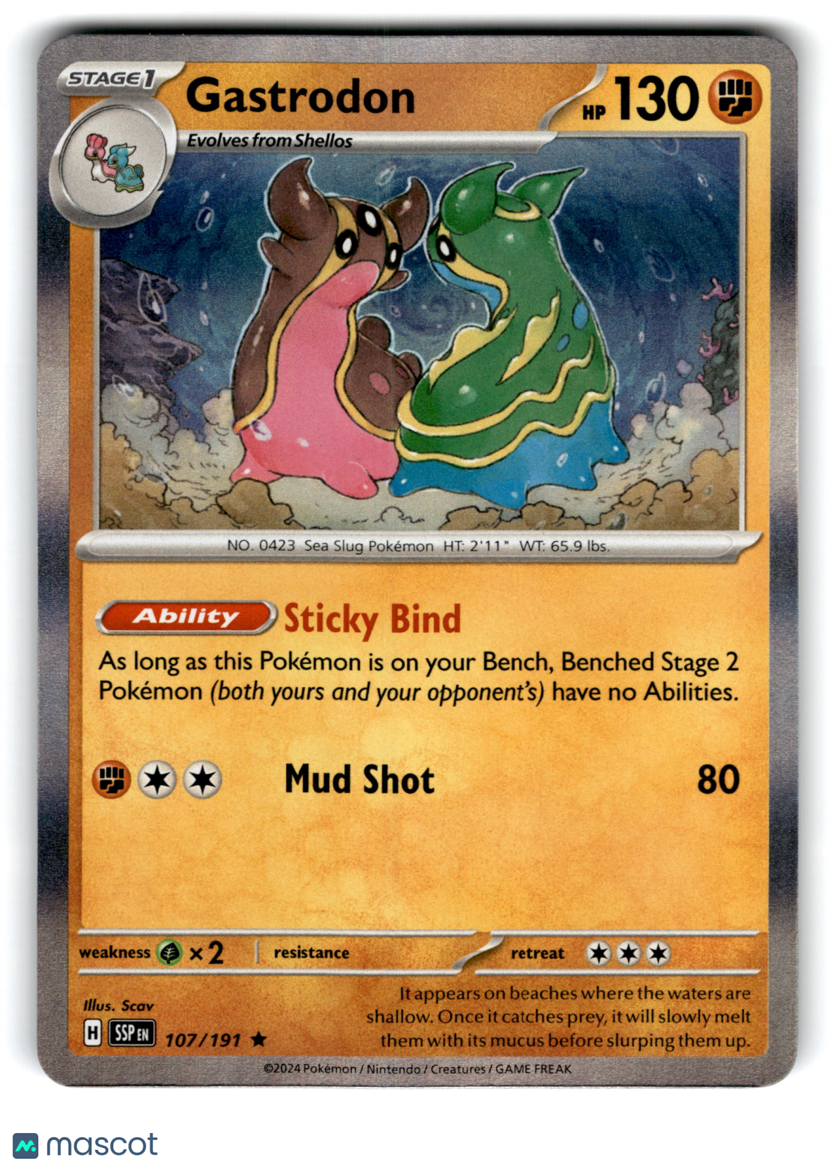 2024 Pokemon Gastrodon #107/191