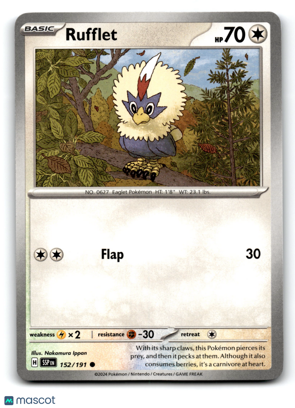 2024 Pokemon Rufflet #152/191