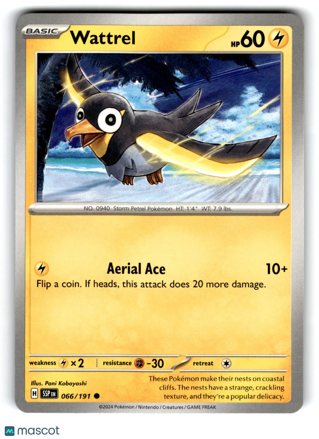 2024 Pokemon Wattrel #66/191