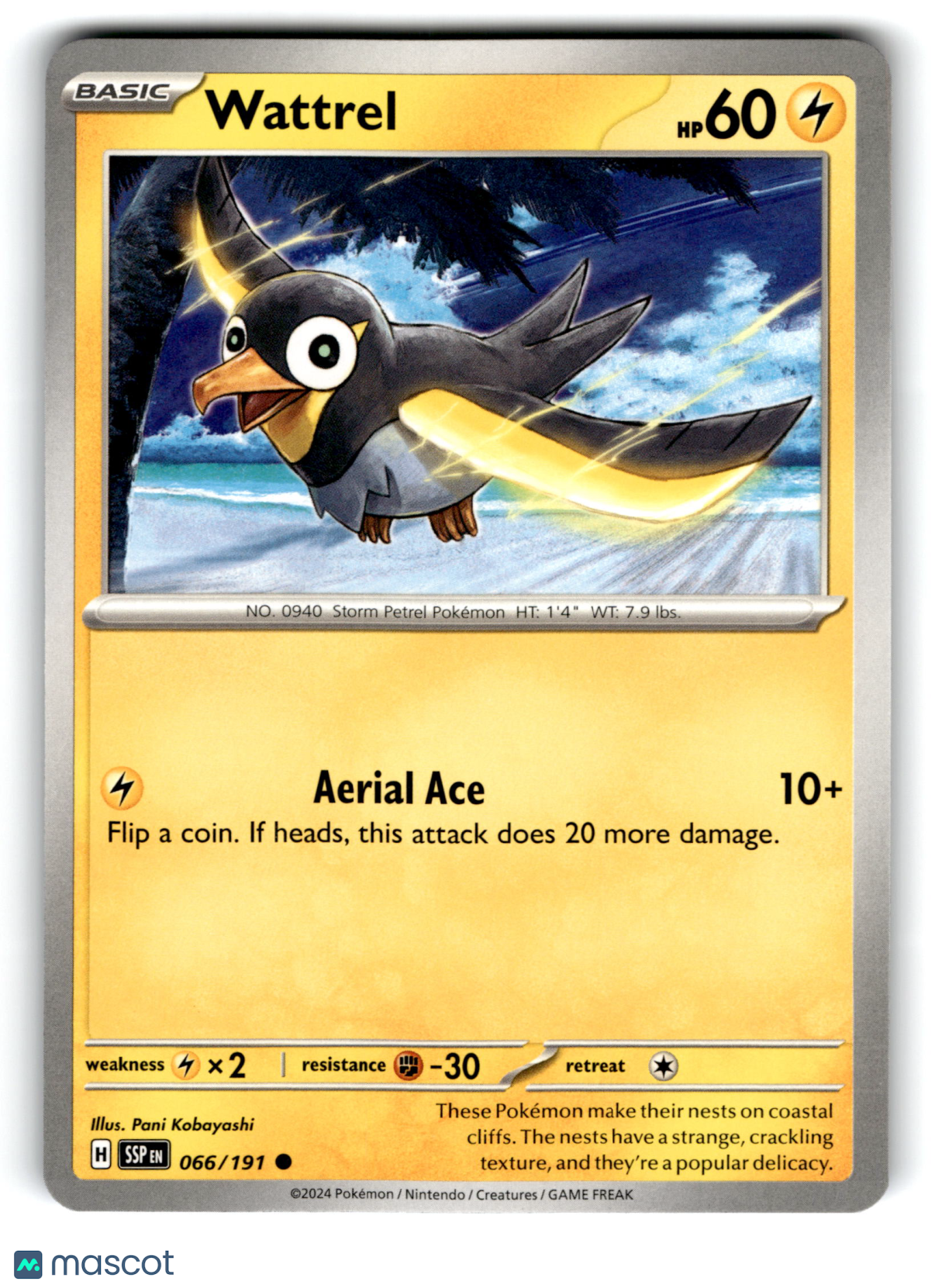 2024 Pokemon Wattrel #66/191