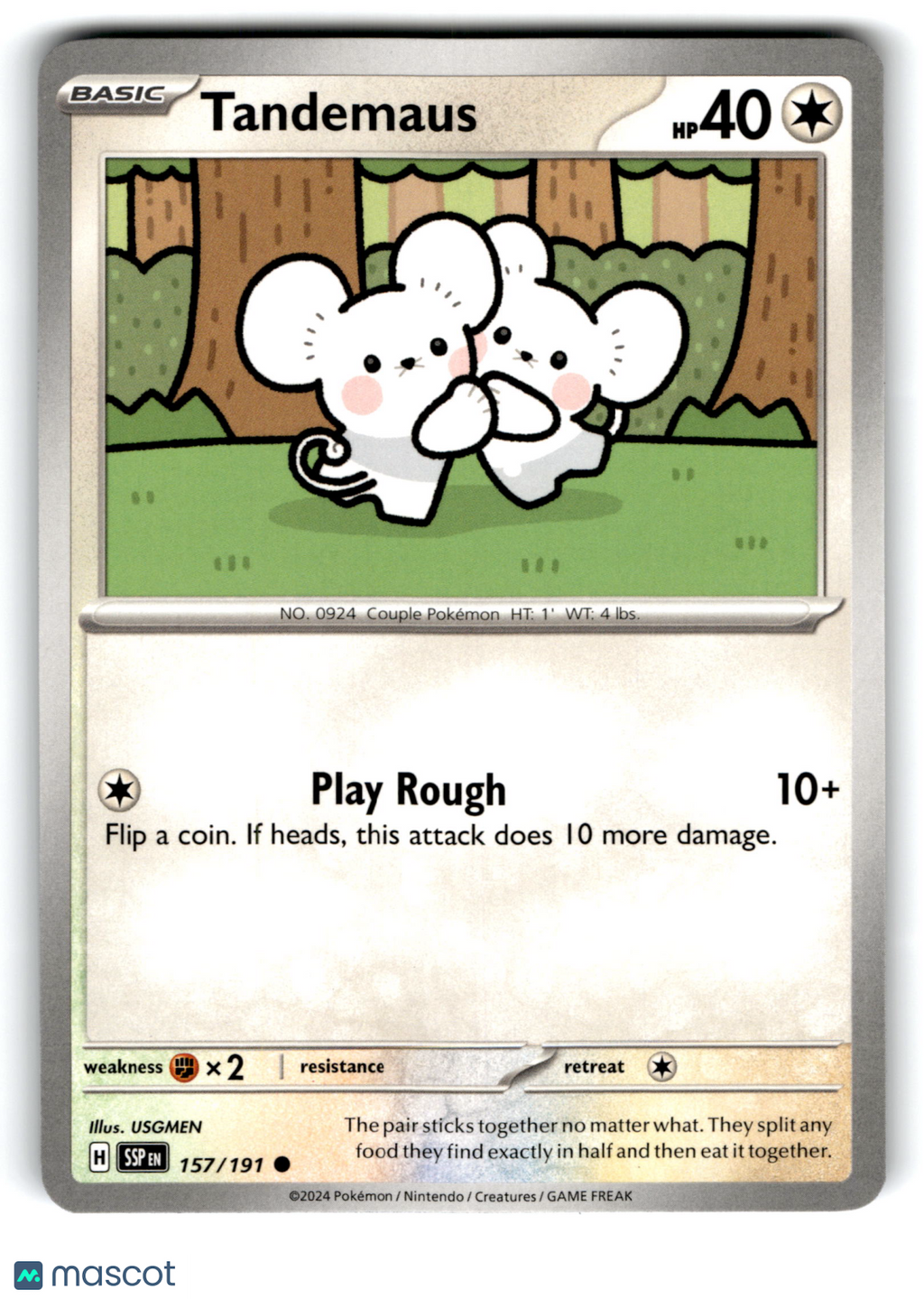 2024 Pokemon Tandemaus #157/191