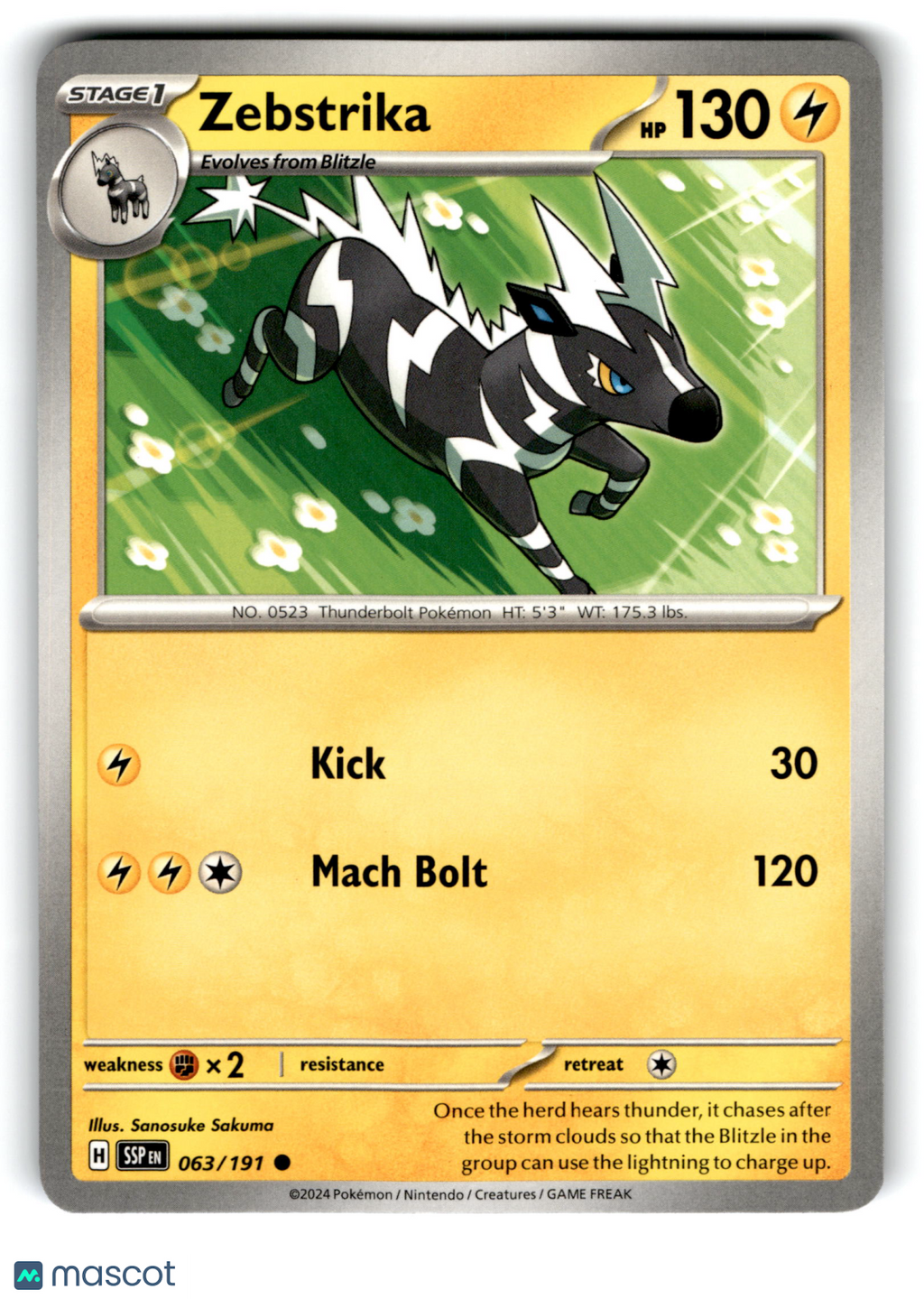 2024 Pokemon Zebstrika #63/191