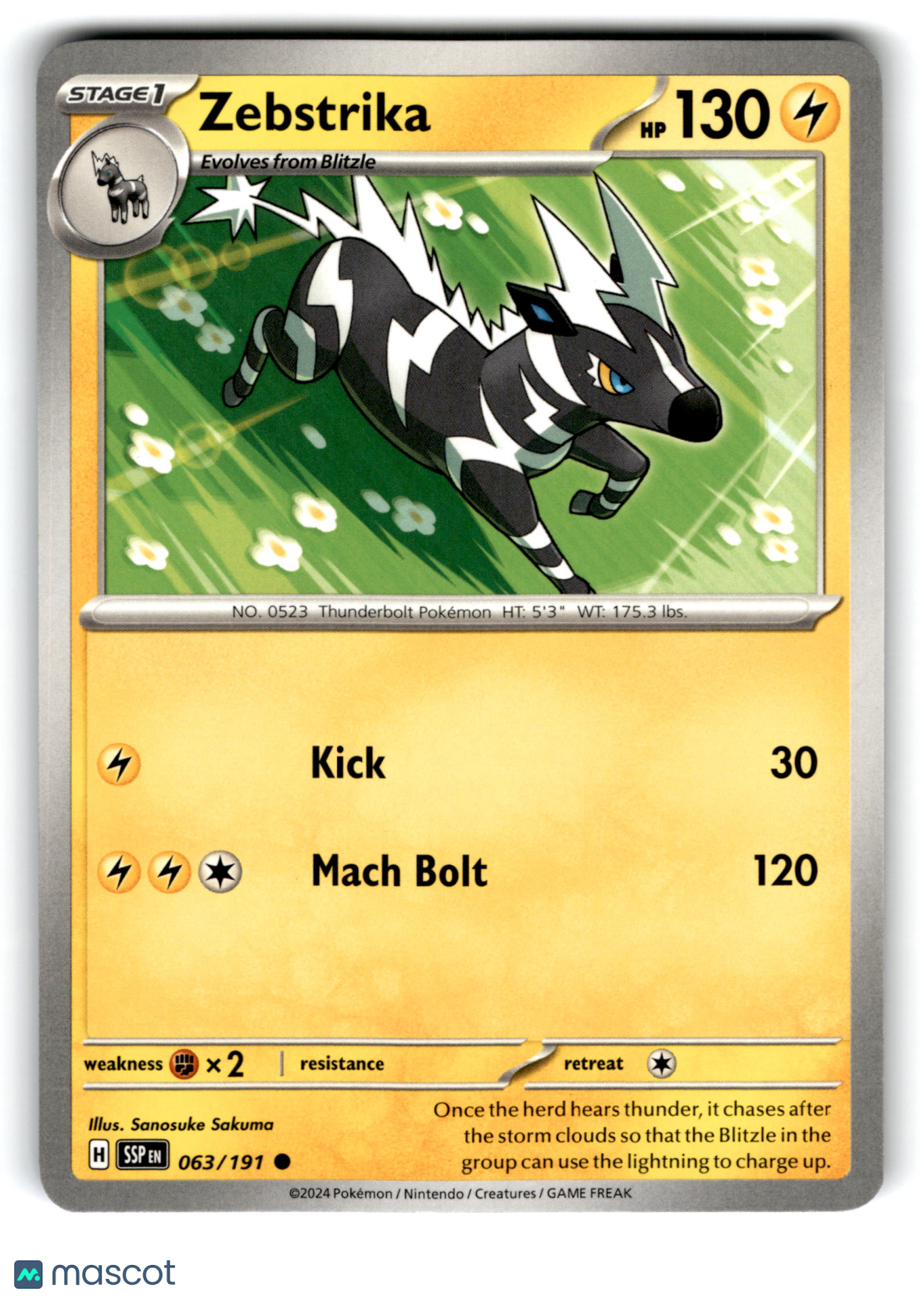2024 Pokemon Zebstrika #63/191