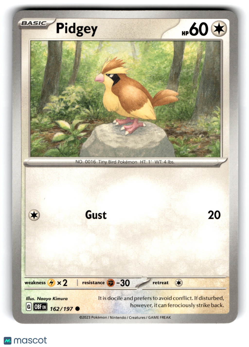 2023 Pokemon Pidgey #162/197
