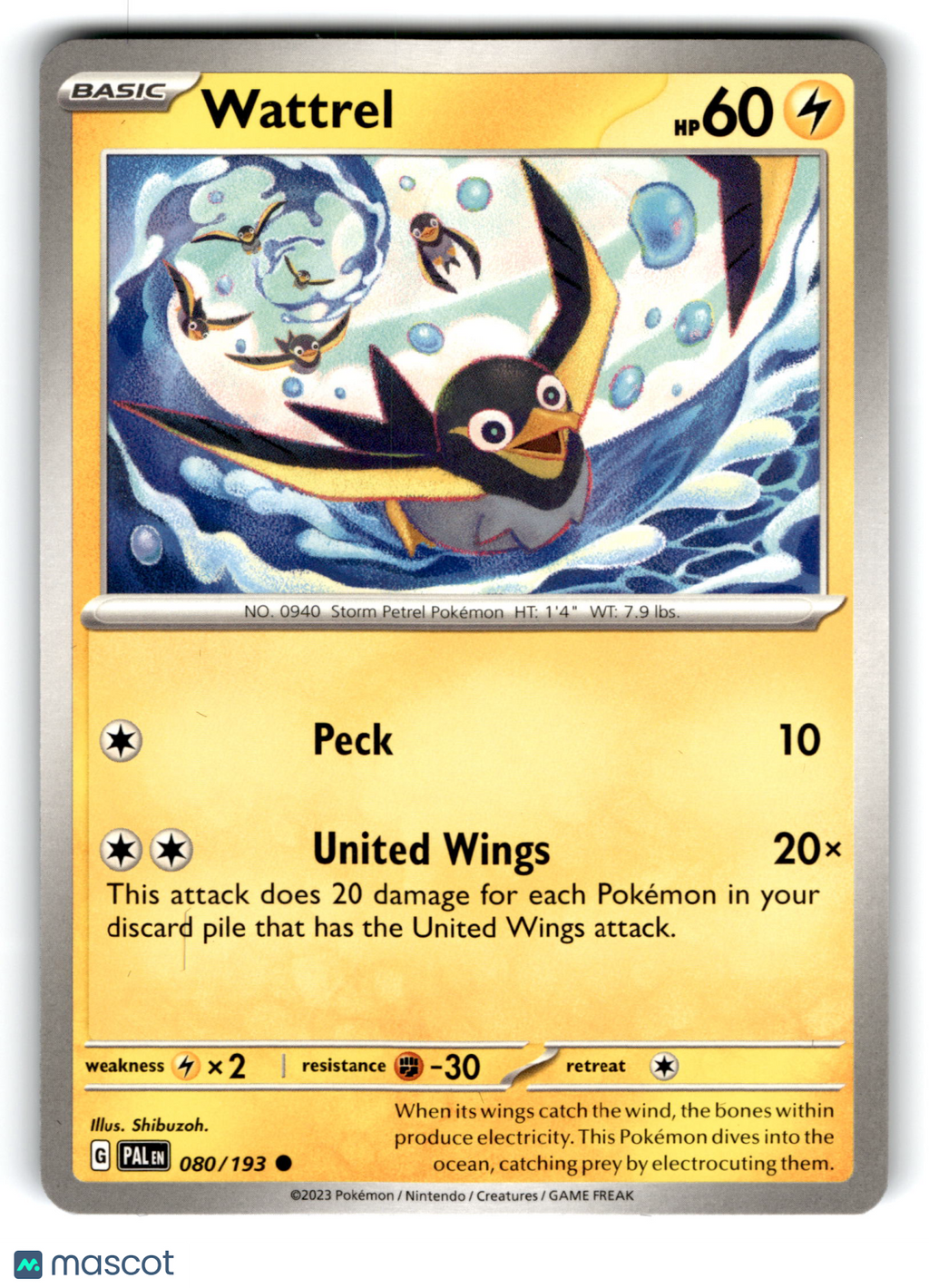 2023 Pokemon Wattrel #80/193