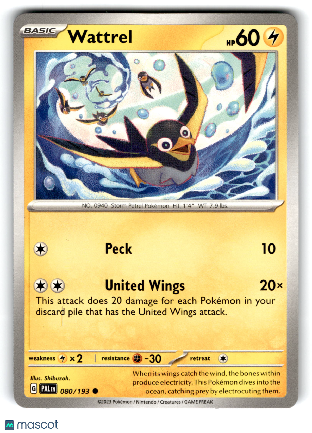 2023 Pokemon Wattrel #80/193
