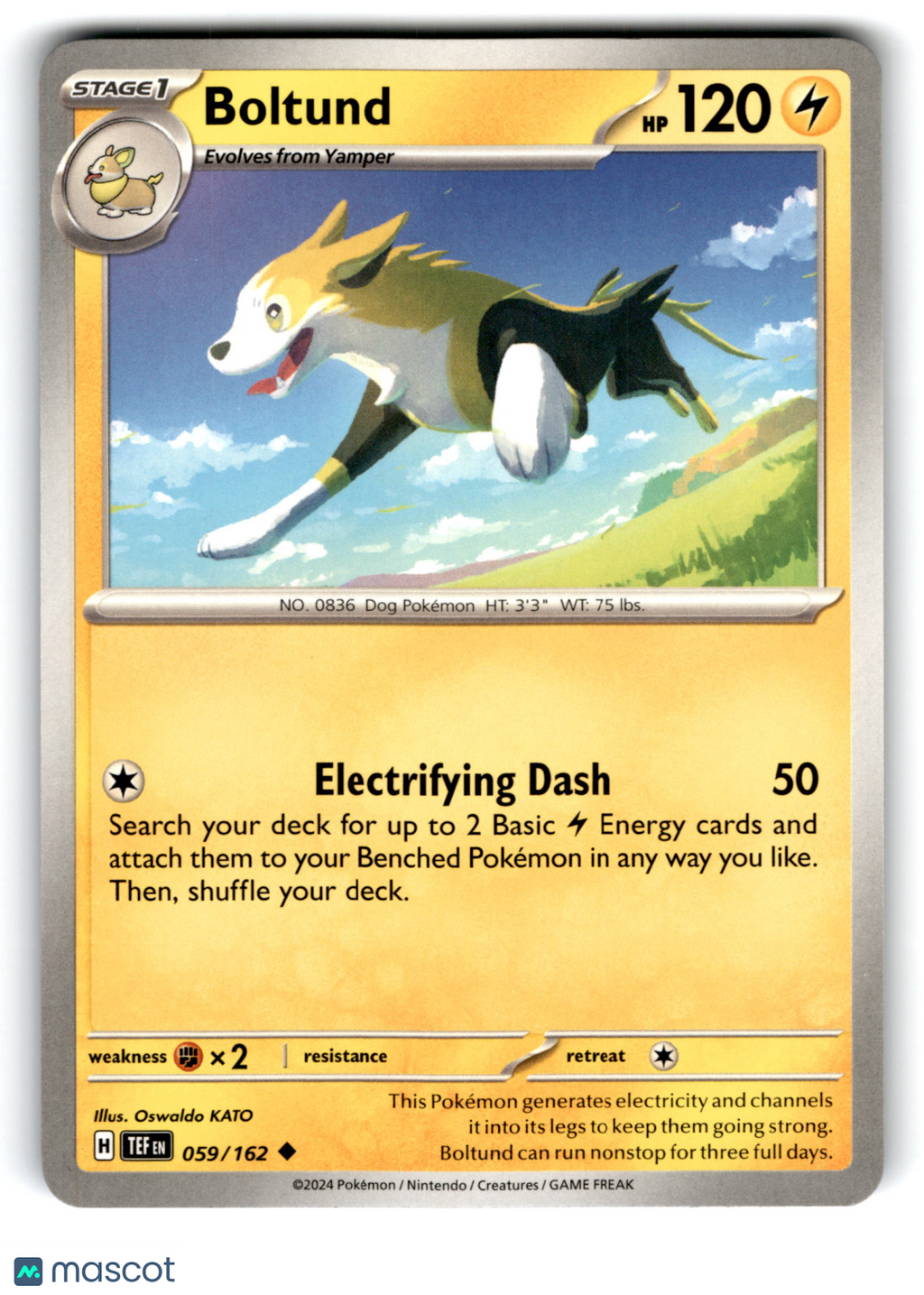 2024 Pokemon Boltund #59/162