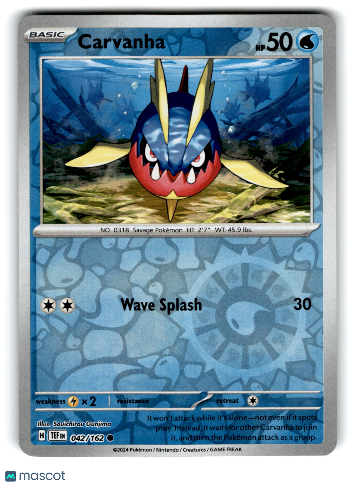 2024 Pokemon Carvanha #42/162