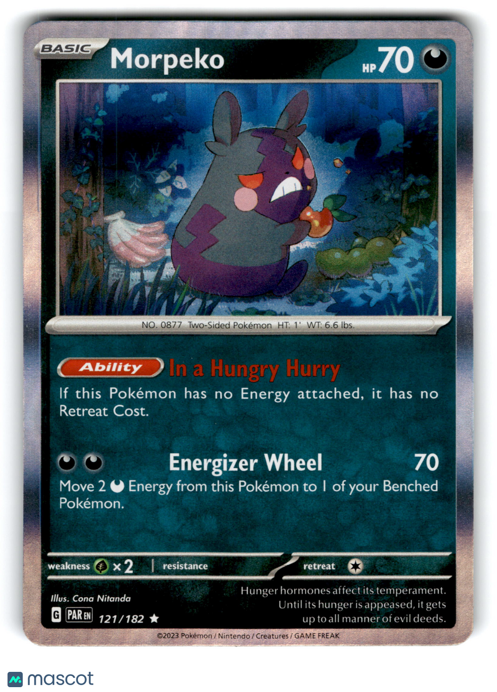 2023 Pokemon Morpiko #121/182
