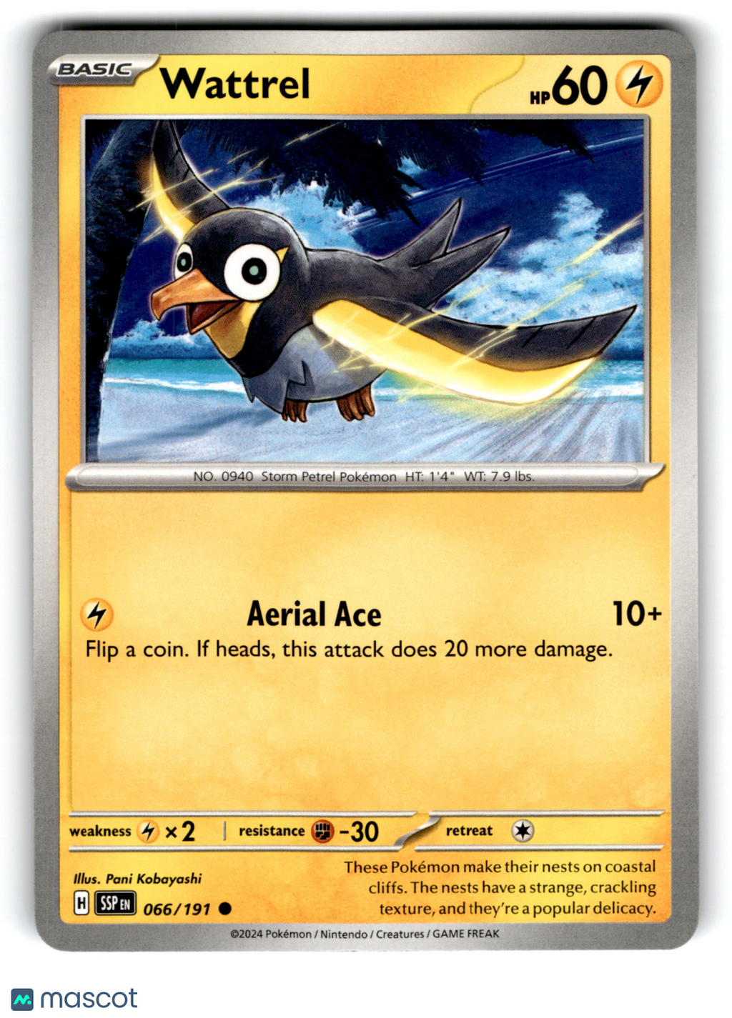 2024 Pokemon Wattrel #66/191