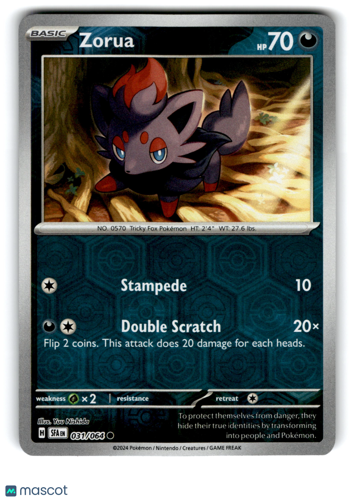 2024 Pokemon Zorua #31/64