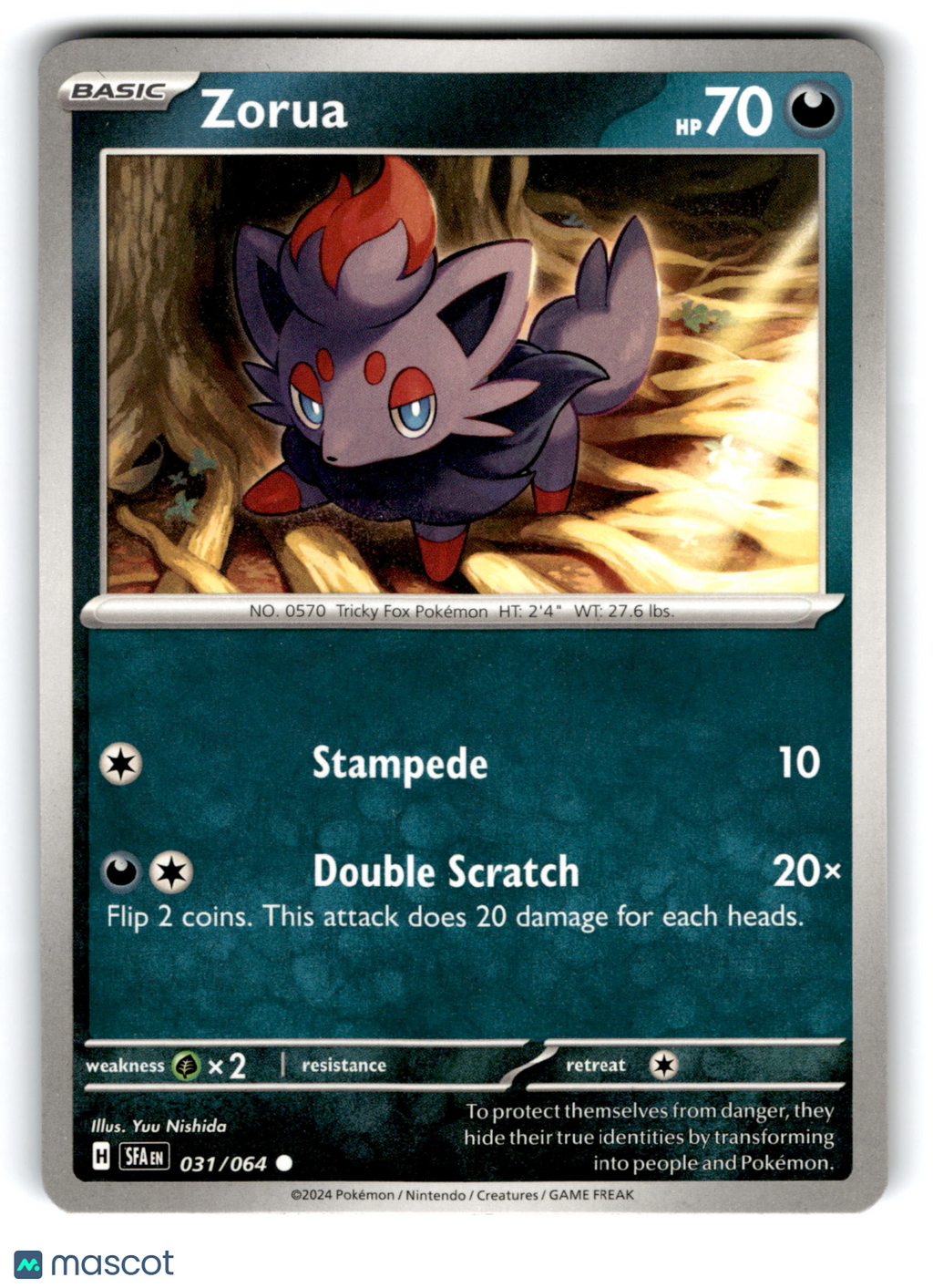 2024 Pokemon Zorua #31/64
