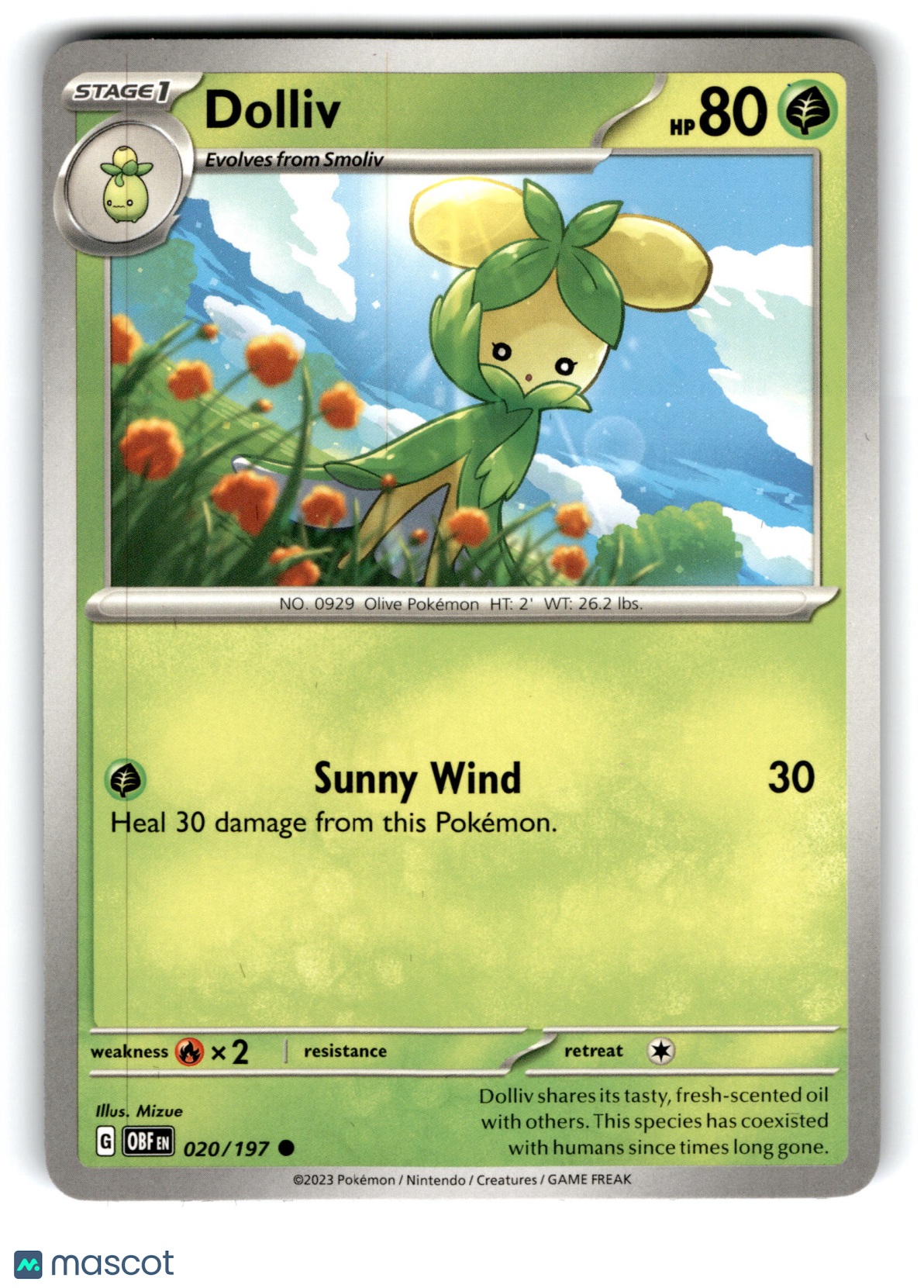 2023 Pokemon Dolliv #20/197