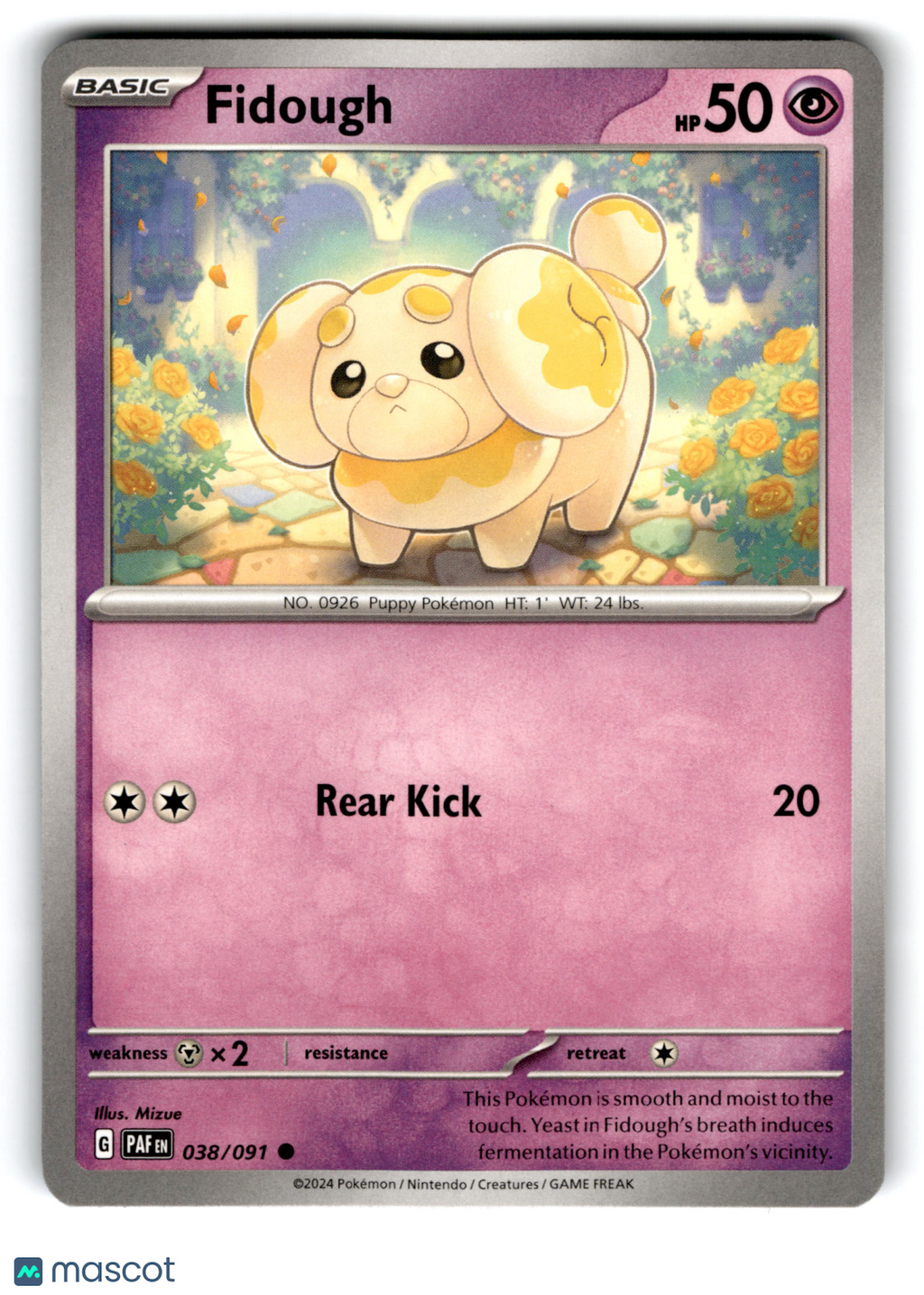 2024 Pokemon Fidough #38/91