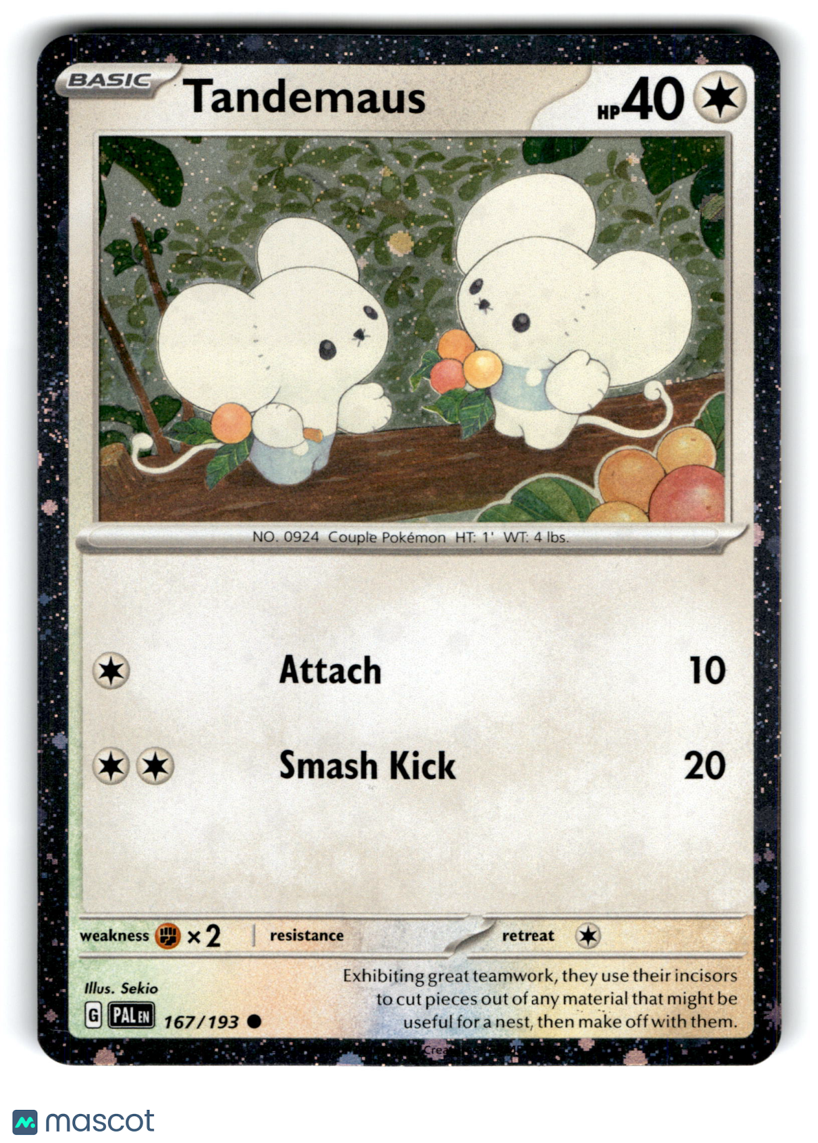 2023 Pokemon Tandemaus #167/193