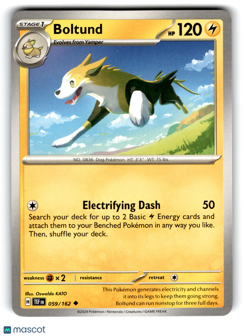 2024 Pokemon Boltund #59/162