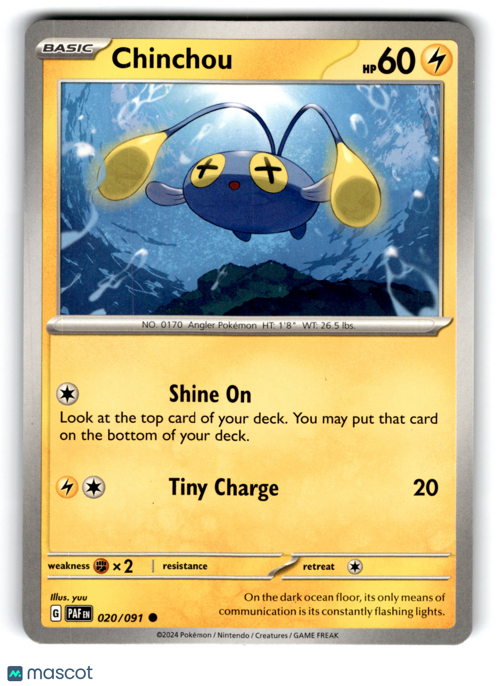 2024 Pokemon Chinchou #20/91