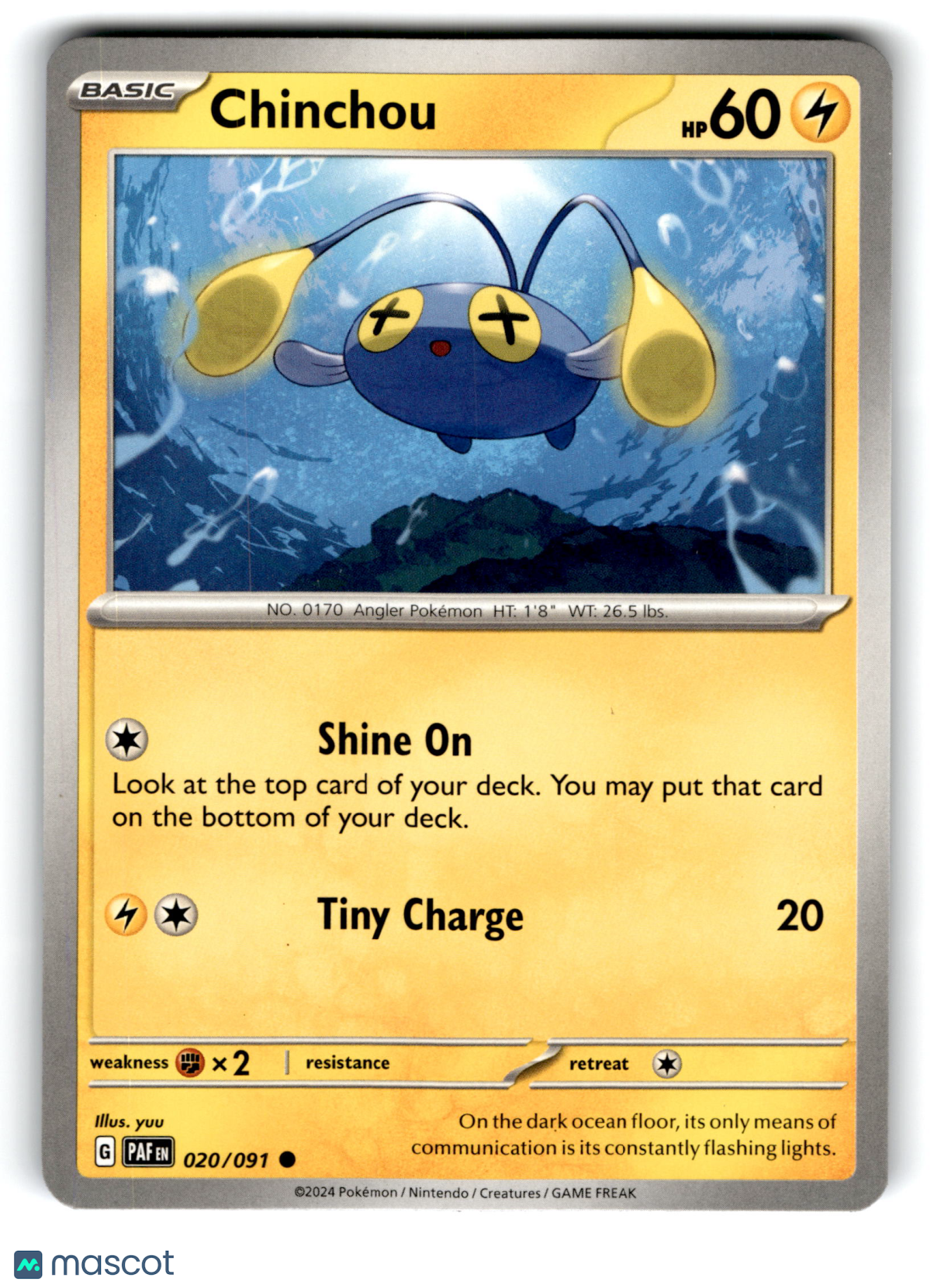 2024 Pokemon Chinchou #20/91