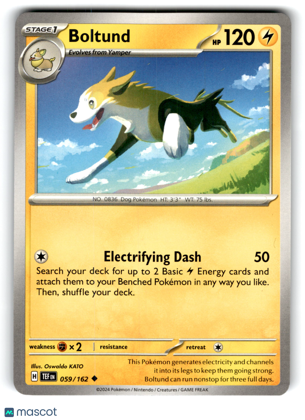 2024 Pokemon Boltund #59/162