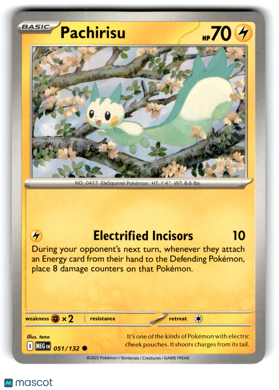 2025 Pokemon Pachirisu #51/132