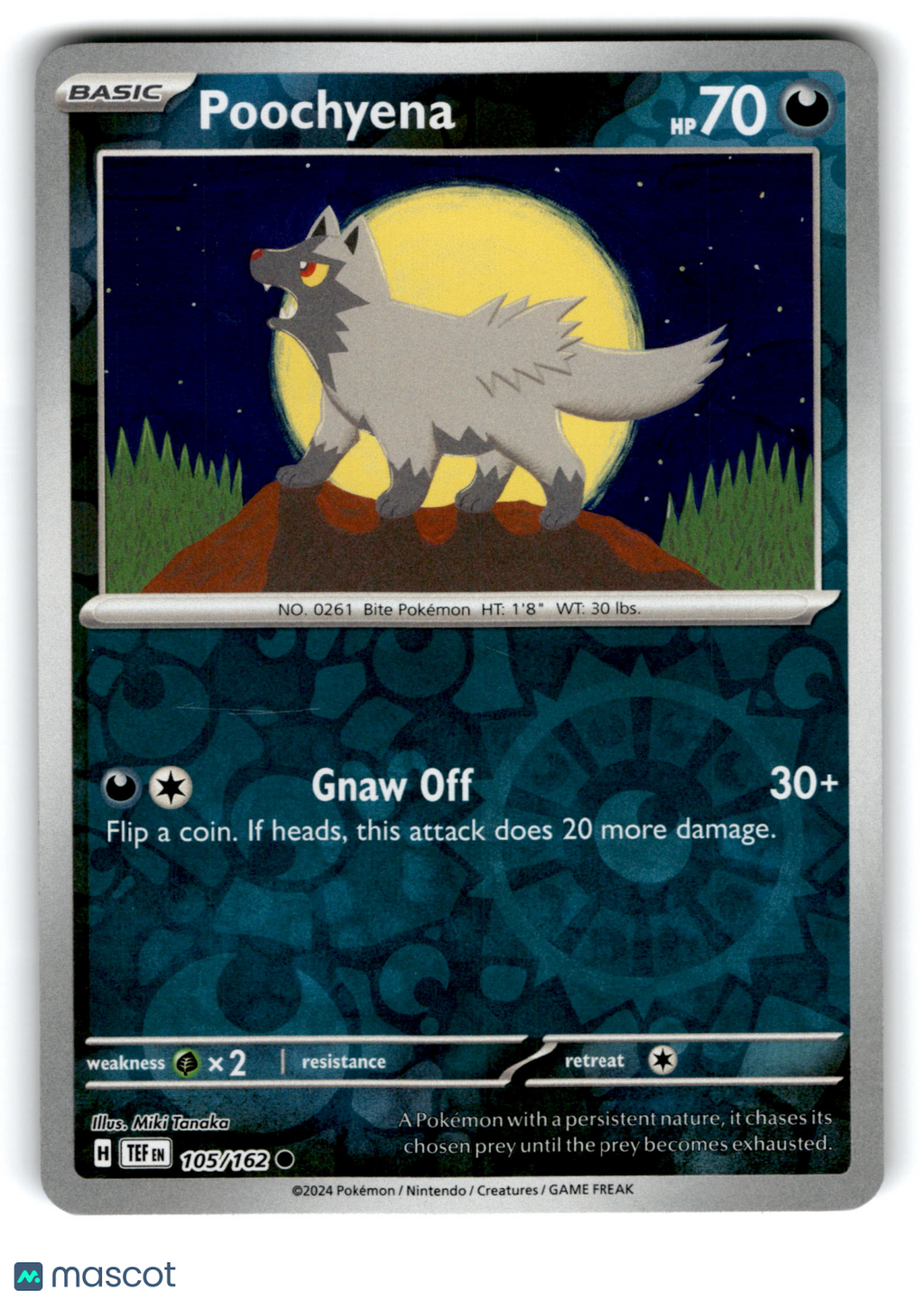 2024 Pokemon Poochyena #105/162