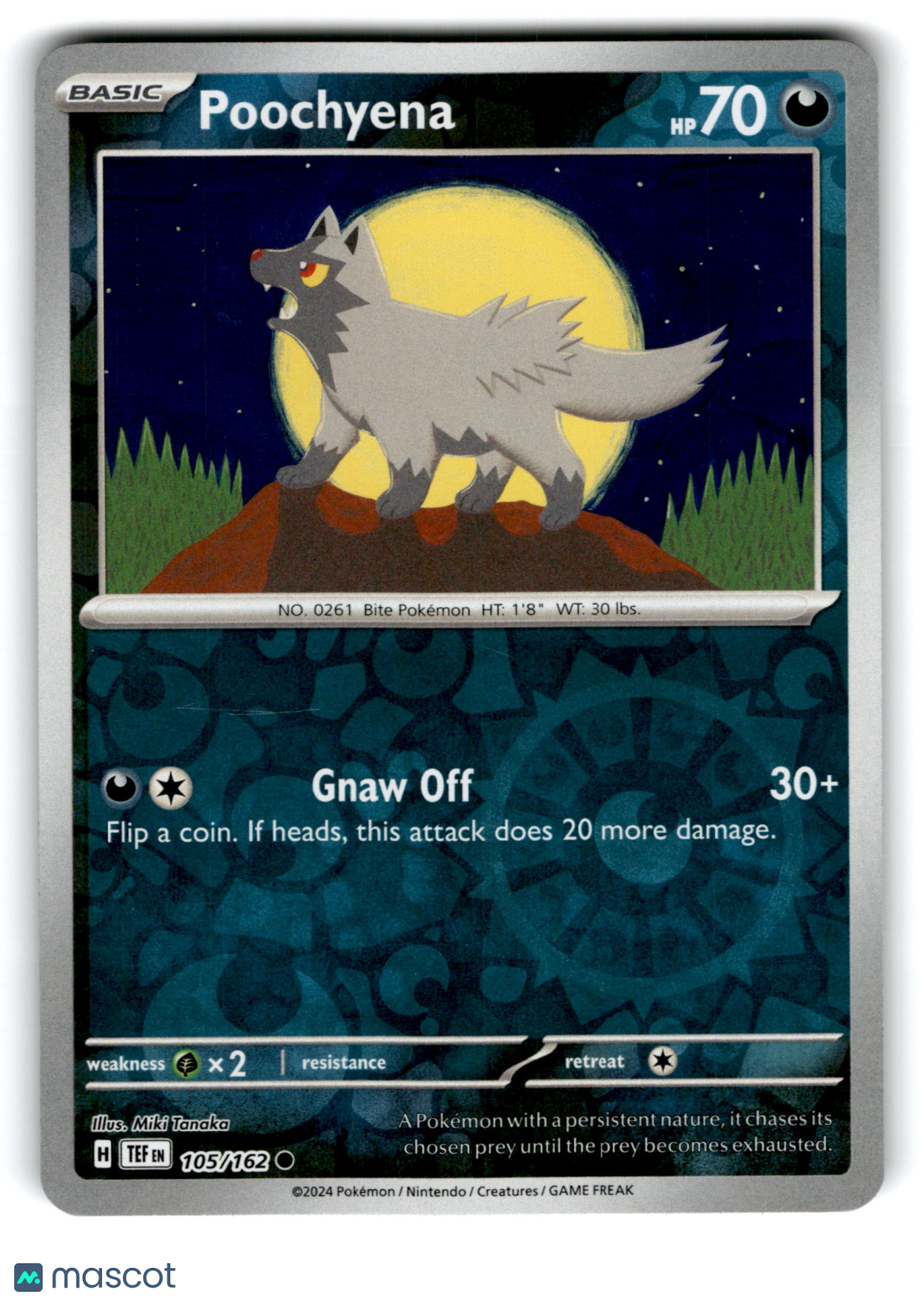 2024 Pokemon Poochyena #105/162