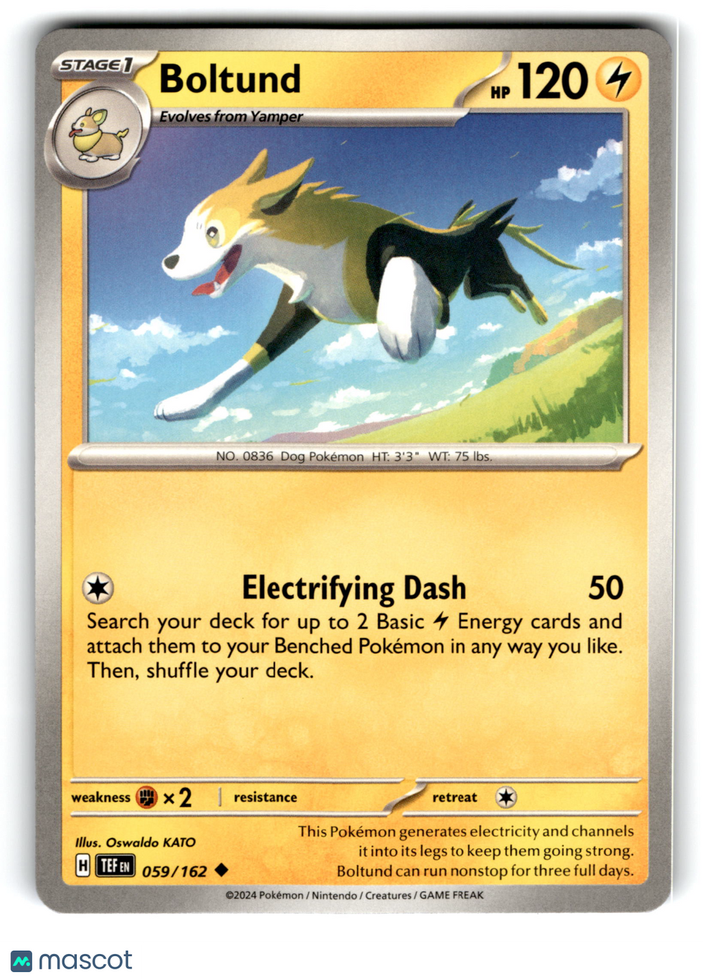 2024 Pokemon Boltund #59/162