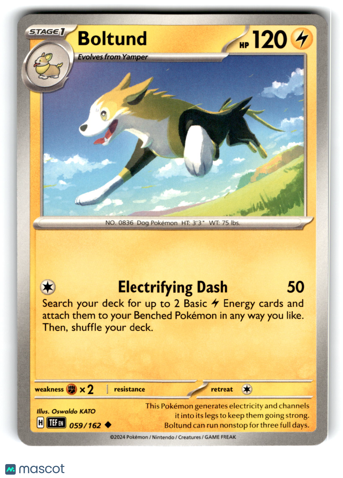2024 Pokemon Boltund #59/162