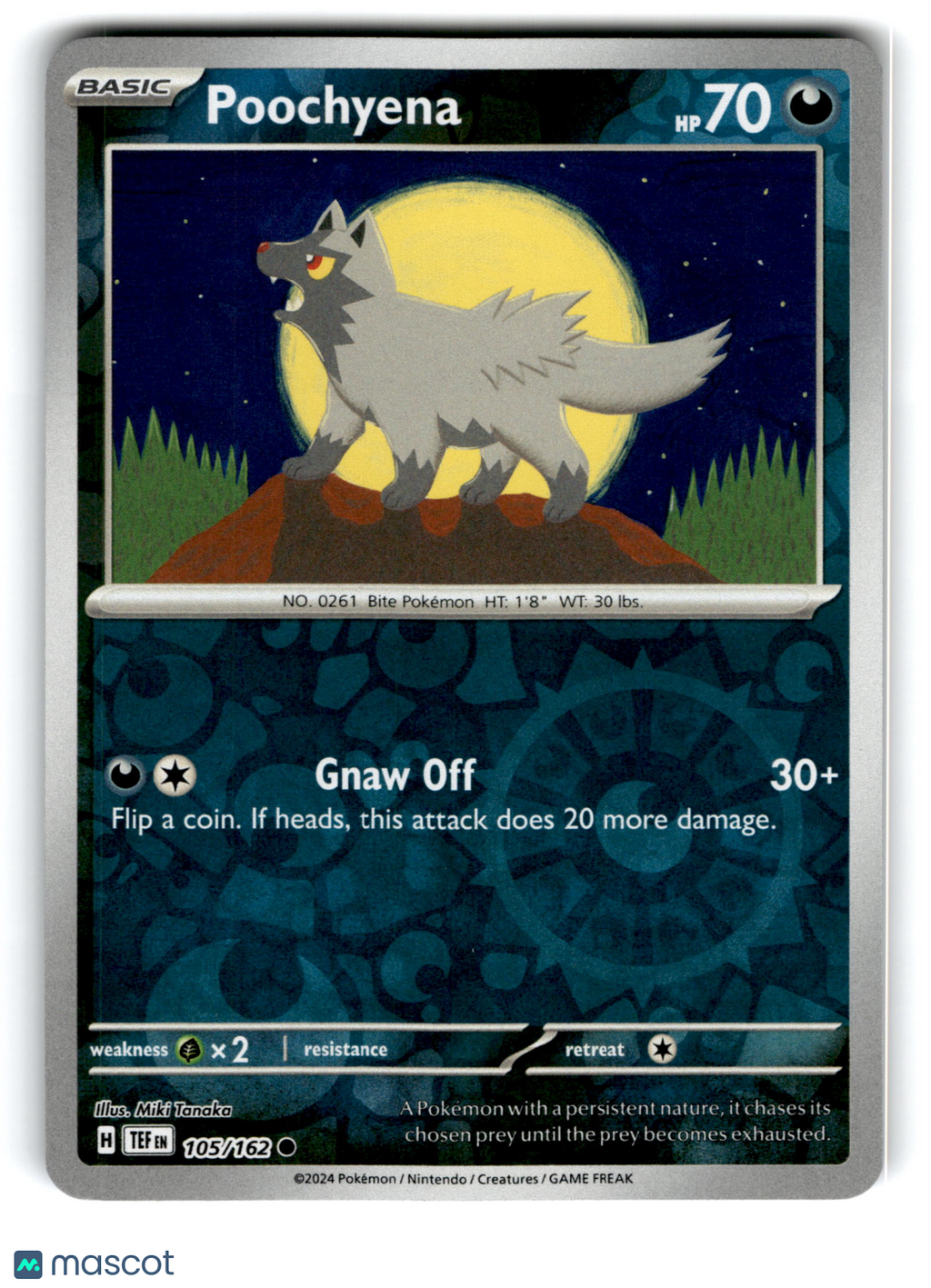 2024 Pokemon Poochyena #105/162