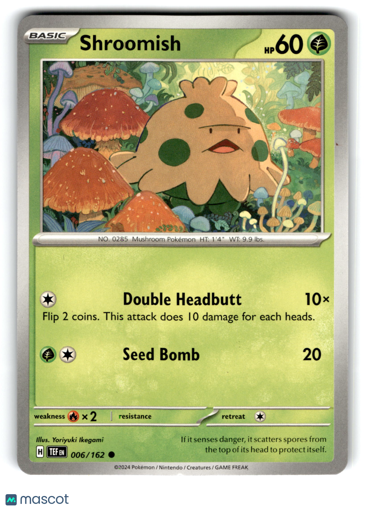 2024 Pokemon Shroomish #6/162