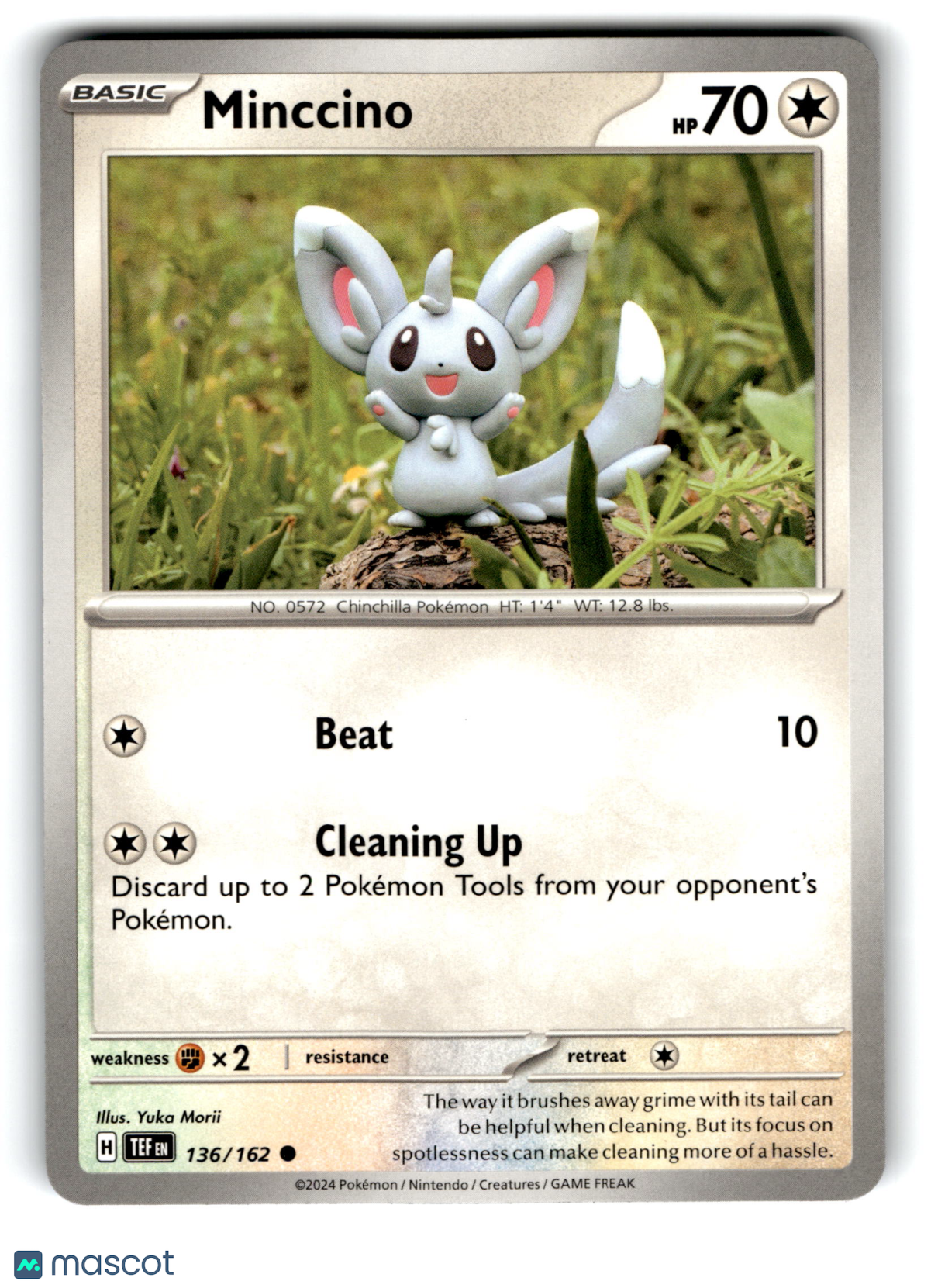 2024 Pokemon Minccino #136/162