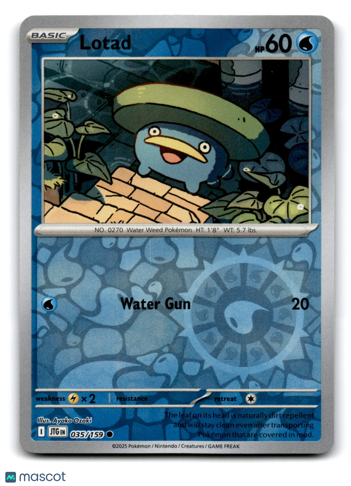 2025 Pokemon Lotad #35/159