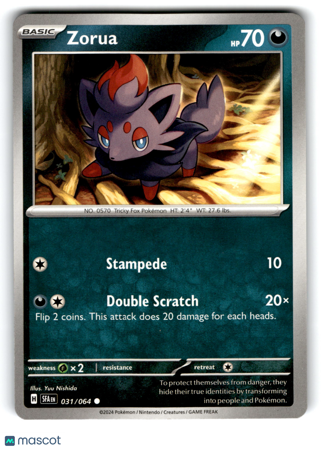 2024 Pokemon Zorua #31/64