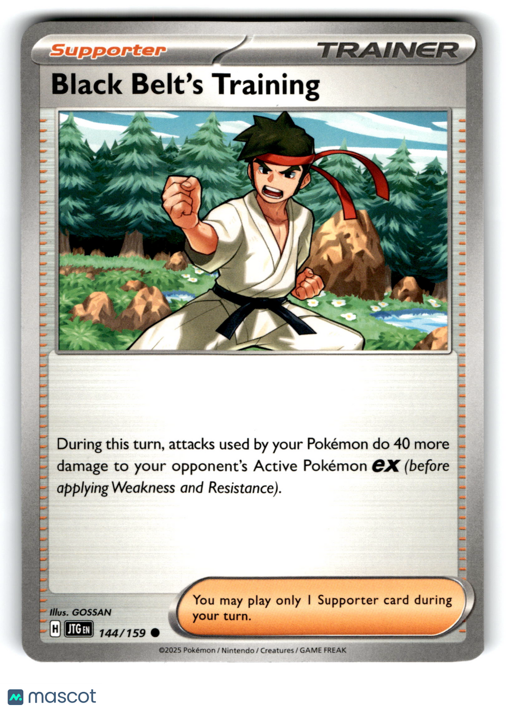 2025 Pokemon Black Belt's Training #144/159