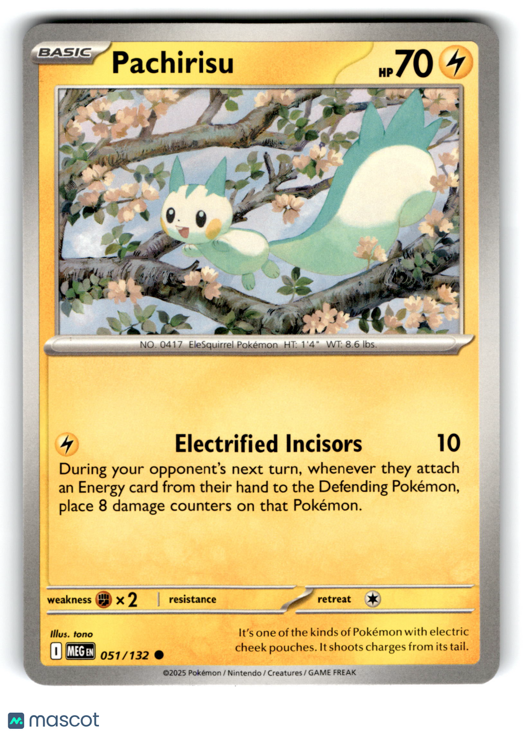 2025 Pokemon Pachirisu #51/132