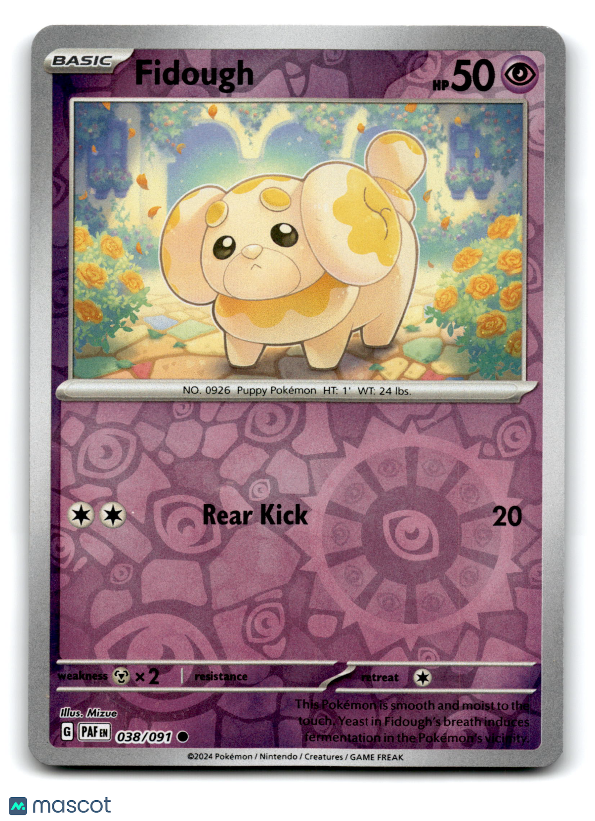2024 Pokemon Fidough #38/91