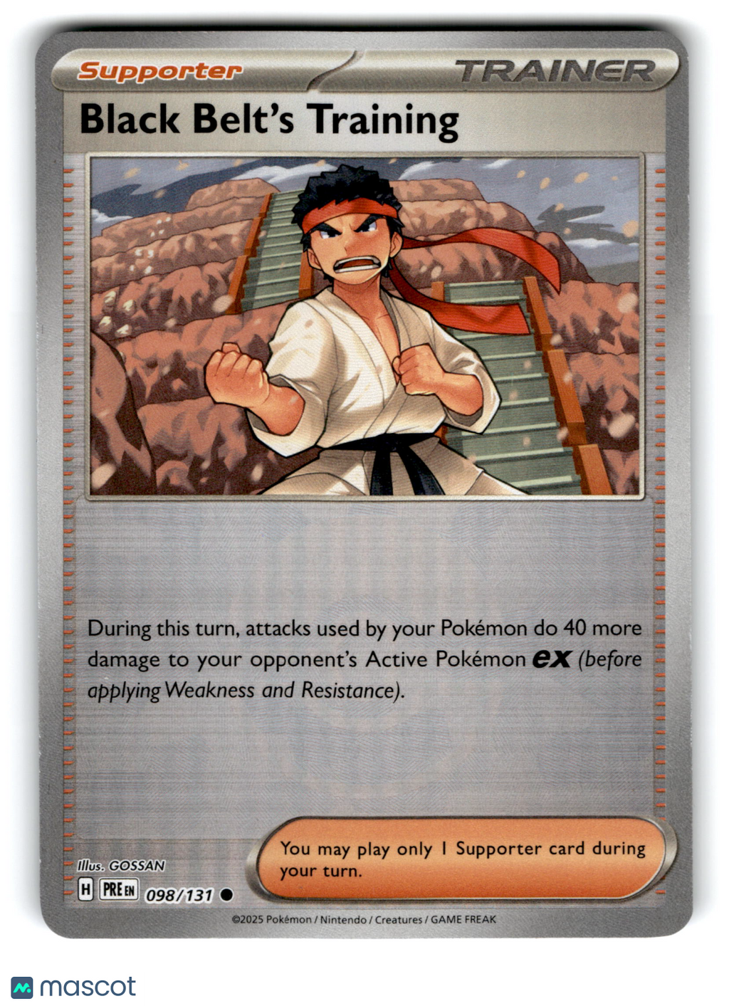 2025 Pokemon Black Belt's Training #98/131
