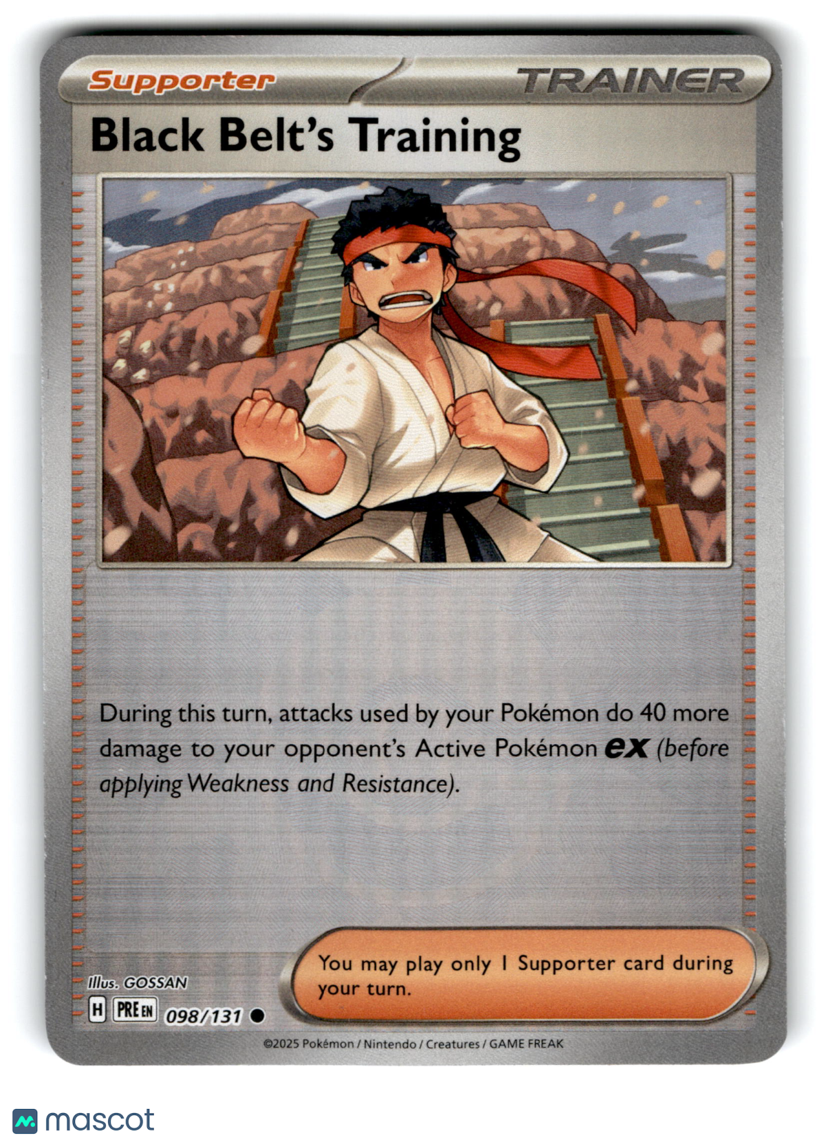 2025 Pokemon Black Belt's Training #98/131