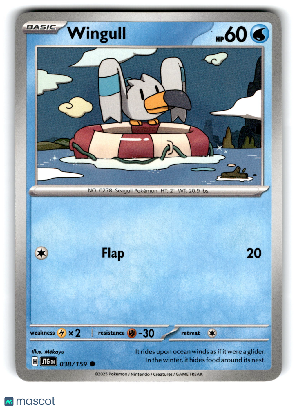 2025 Pokemon Wingull #38/159