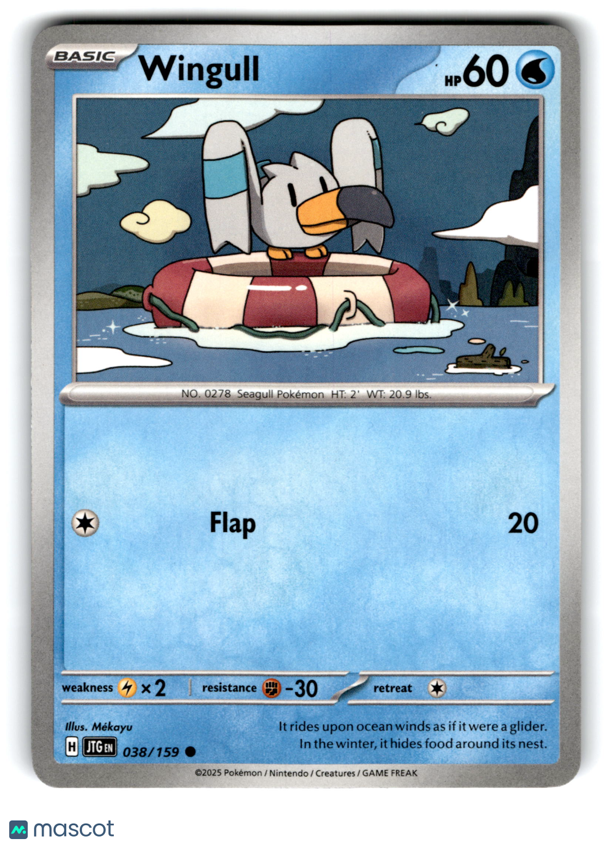 2025 Pokemon Wingull #38/159