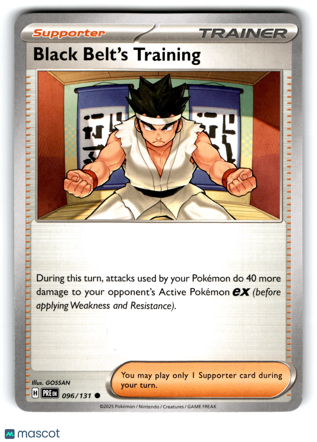 2025 Pokemon Black Belt’S Training #96/131