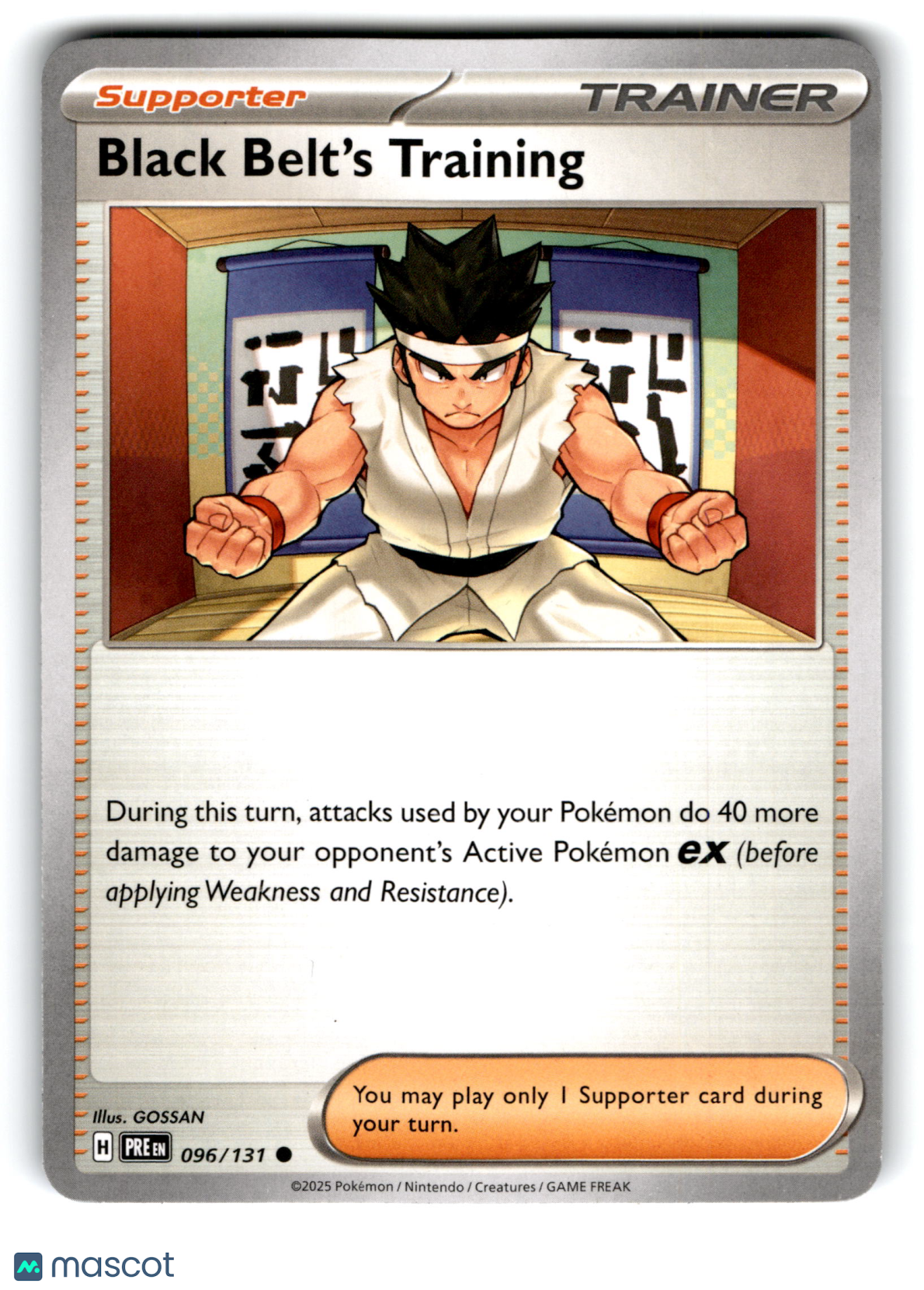 2025 Pokemon Black Belt’S Training #96/131