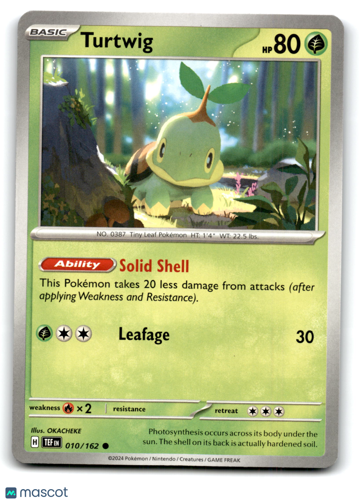 2024 Pokemon Turtwig #10/162
