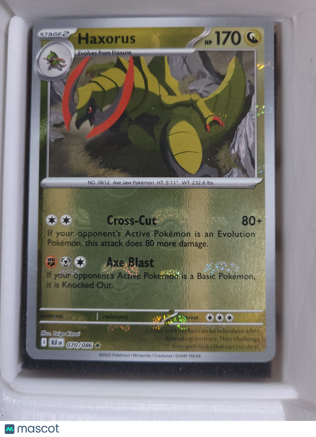 Pokémon TCG Haxorus 070/086 Pokeball Holo NM