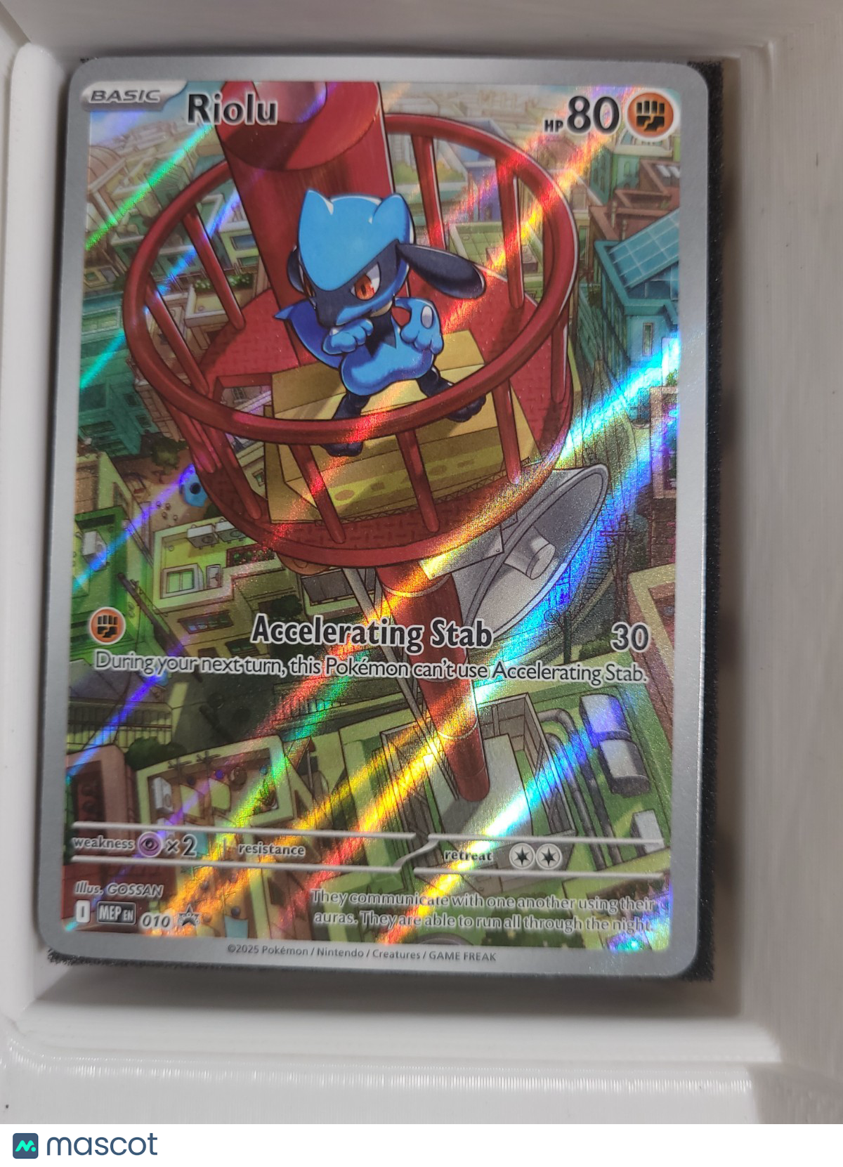 Pokémon TCG -NM- 010- Riolu Promo Holo Mega Evolutions